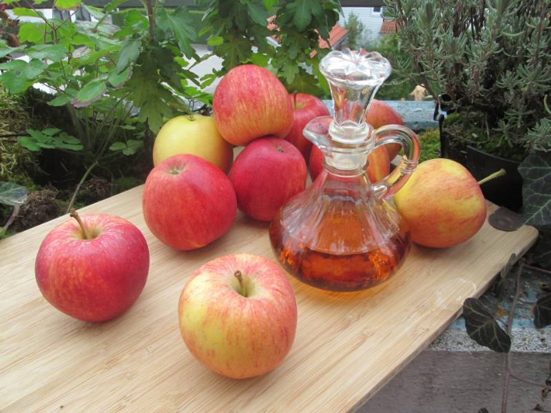 Dimagrire con l’aceto di mele: perché è utile e in che modo accelera il processo di perdita di peso?