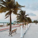 Tranquil beach promenade with palm trees and benches in the Maldives at sunset, offering a relaxing atmosphere.