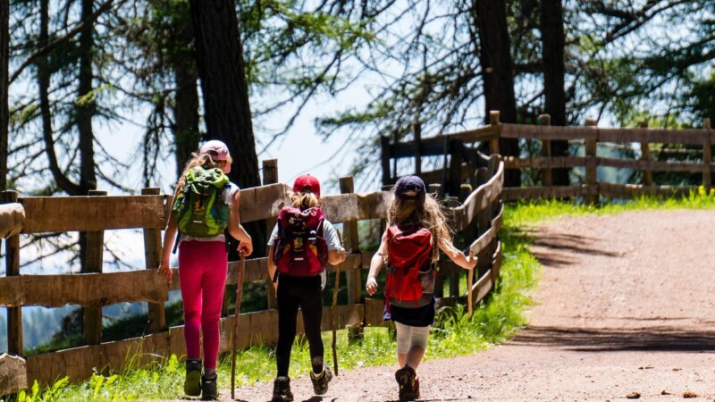 Coi bambini in viaggio: Trentino per famiglie tra parchi e sentieri facili